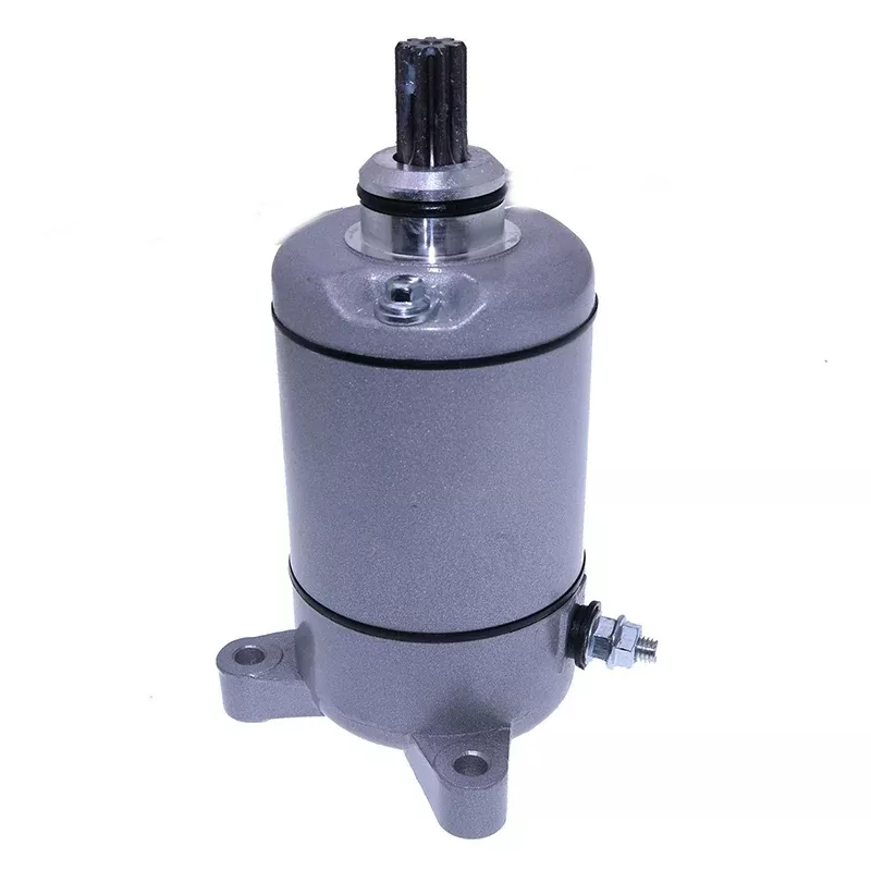12V Starter Motor 3084981 for Polaris Sportsmen Ranger Magnum Trail Blazer Trail Boss 1995-2014 335 400 450 500 ATV