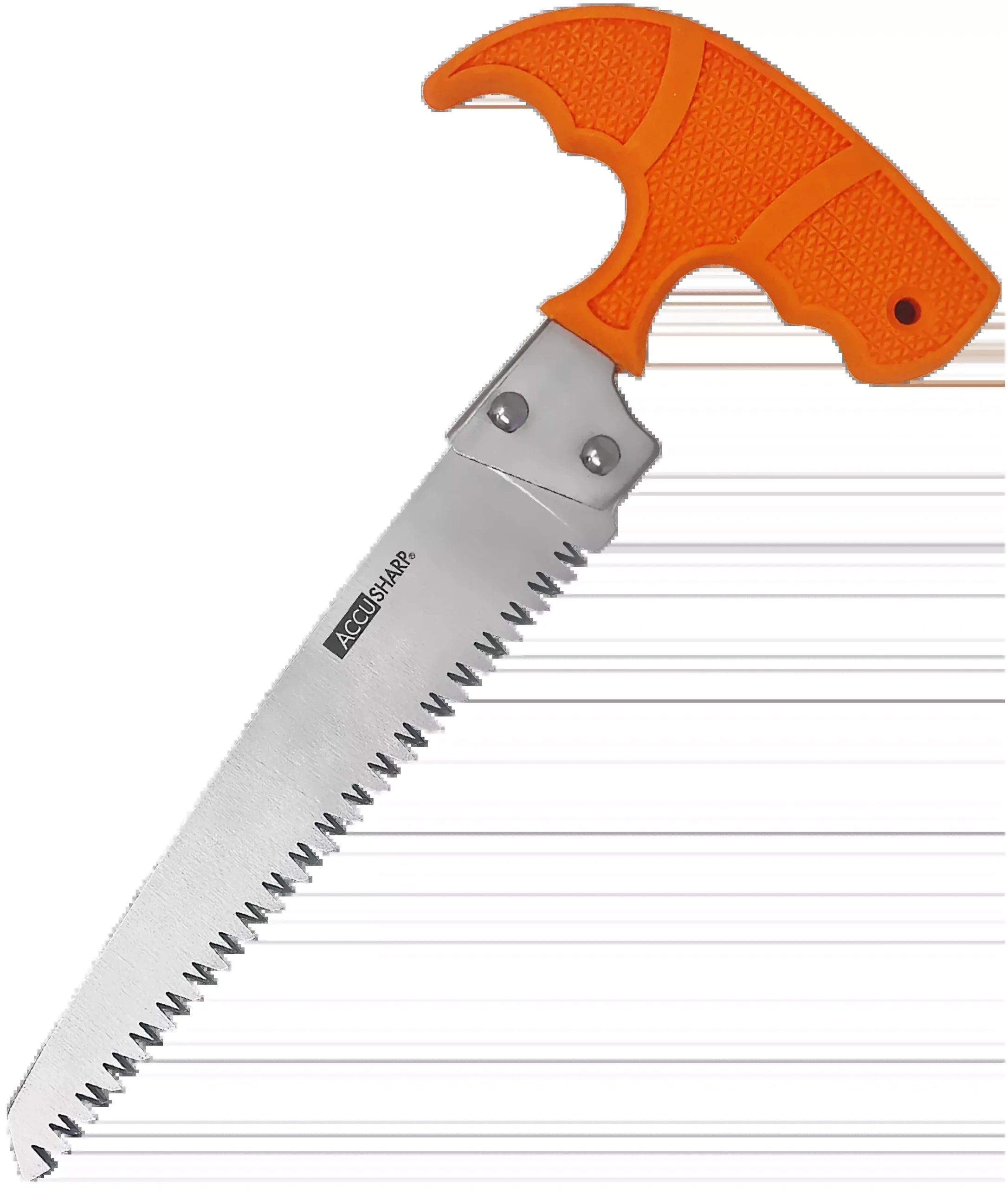 AccuSharp 730C Bone SawFixed Saw 6" Stainless Steel Blade/ Blaze Orange T-Shaped Handle