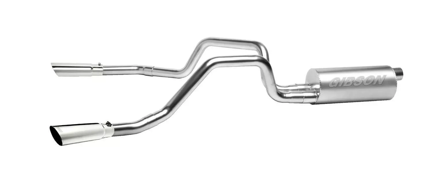 Cat-Back Dual Split Exha ust SystemAluminized