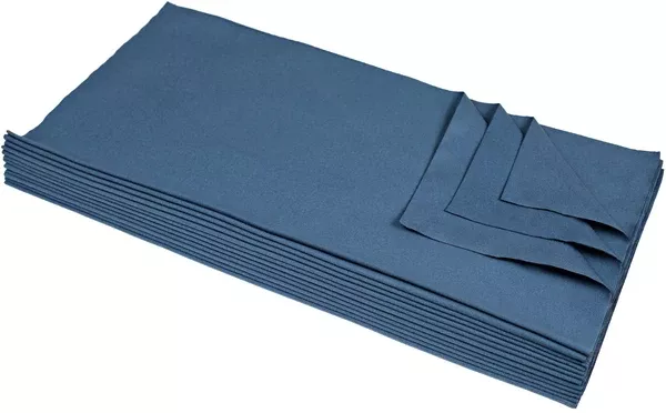 CleanAide 16 x 16 in. 200 GSM Suede Weave Blue Microfiber Towels – 12-pack
