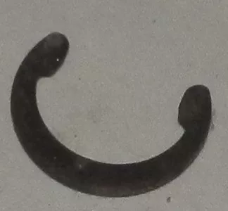 Greenlee 51780 Retaining Ring
