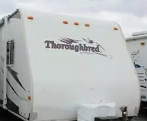 “Palomino Thoroughbred” RV Decals (1PC) – OEM New Oracle