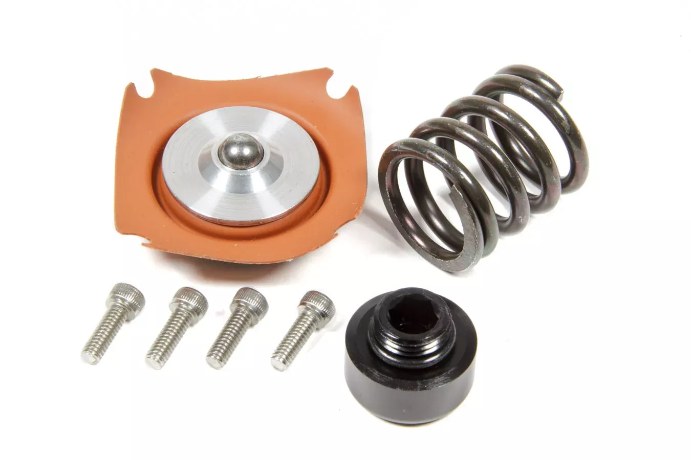 Regulator Rebuild Kit - 13305 35-75psi .313 Seat