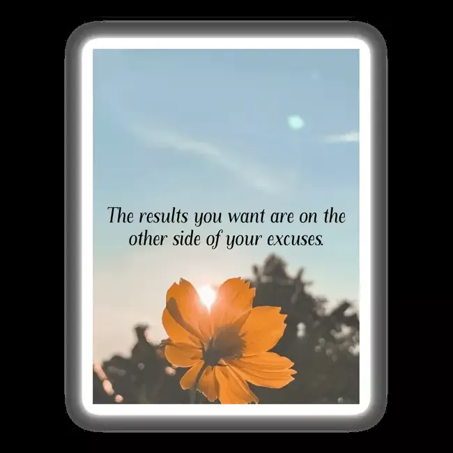 The results you want are on the other side excuses