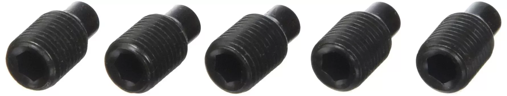 Ridgid 35045 Package of 5 Screws