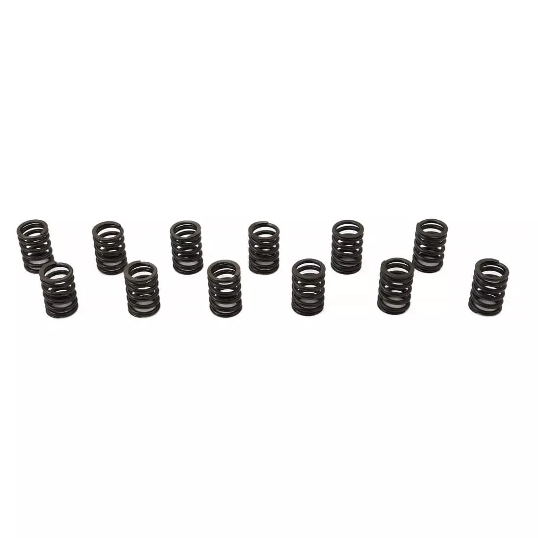 TR6-CVS6001KValve Spring Set, Double Type 1973-76
