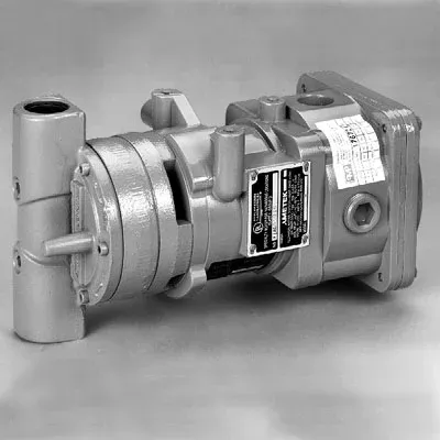Wayne Vac™ Blue with 3/4″ NPT (second generation)