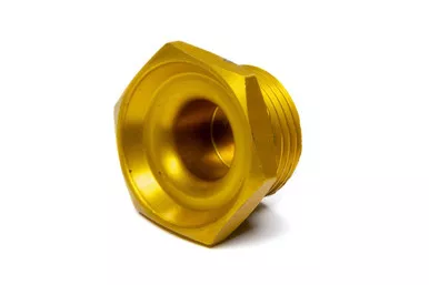 Winters Small Inspection Plug 1-3/8In